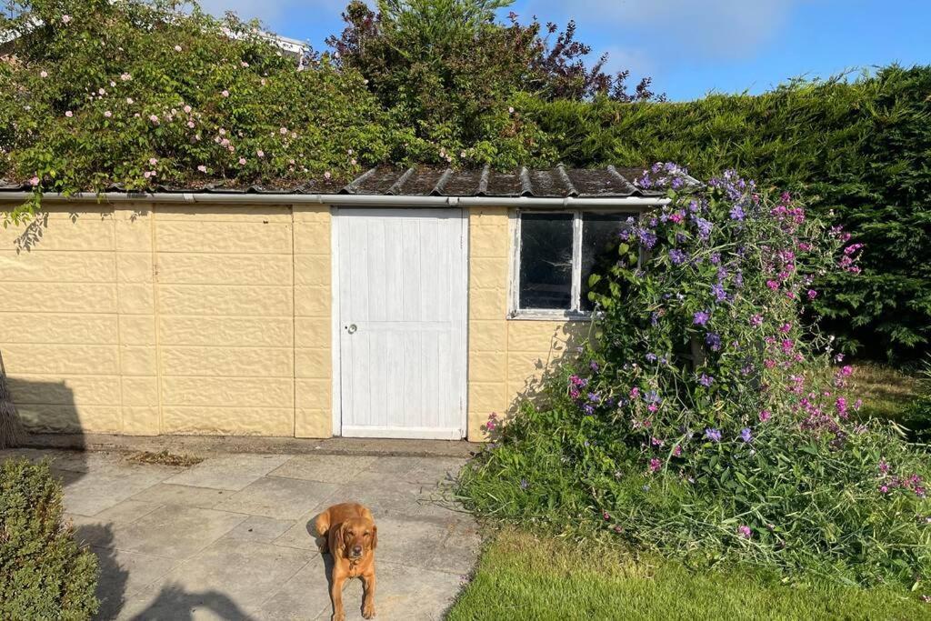3 Bed Bungalow In Winchcombe, Cotswolds,Gloucester Eksteriør bilde